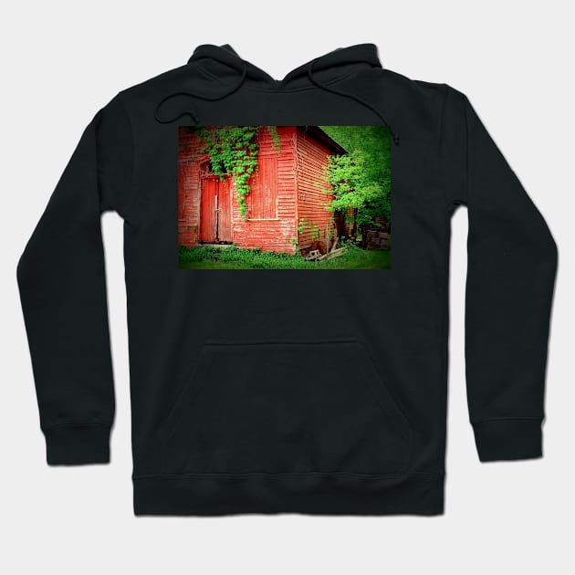 Secrets 2 Hoodie by Rodwilliams